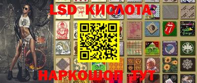 прущие грибы Гусиноозёрск
