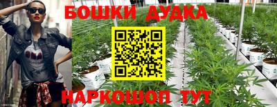 прущий лед Гусев