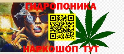 дмт Дубна