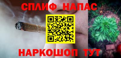 прущие грибы Гусиноозёрск