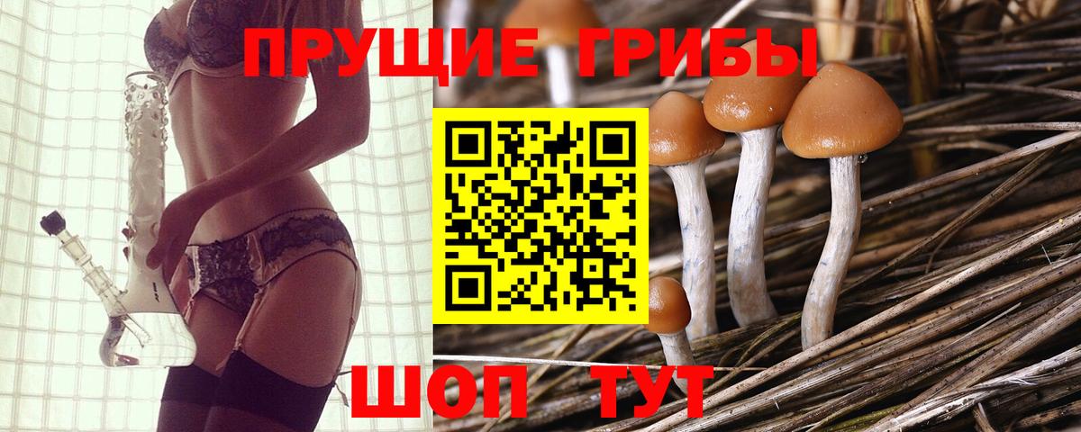 Галлюциногенные грибы GOLDEN TEACHER  Галлюциногенные грибы прущие грибы  Вход с VPN  Карталы 