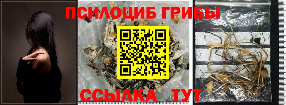 Псилоцибиновые грибы прущие грибы Карталы